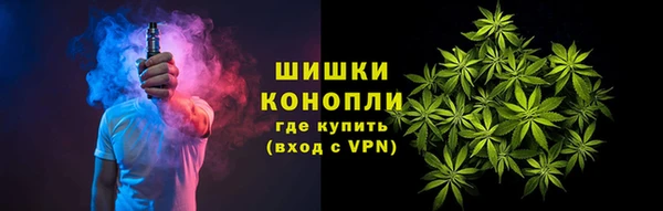 гашик Балахна