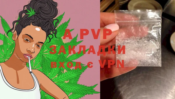 гашик Балахна